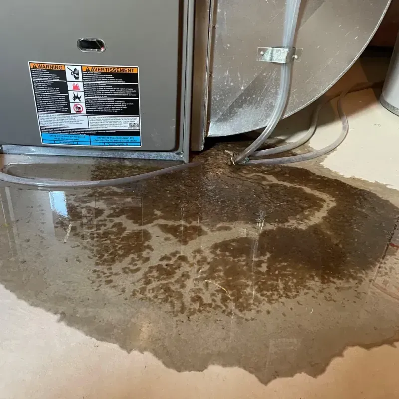 Appliance Leak Cleanup in Rock Port, MO